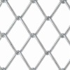 stainless steel wire mesh belt