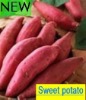 Sweet potato