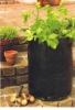 Garden planter