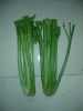 shouguang fresh celery