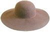 wool felt hat(100% wool)