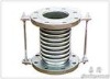 bellow expansion joint