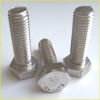 stainless steel Hexagon Head Bolts