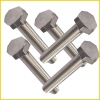 stainless steel hex head bolts (hexagon bolts)