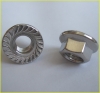 stainless Flange Nuts