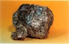 Muscovite