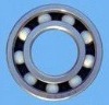 SKF Bearing