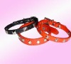 pet collar, dog collar, cat collar, pet products