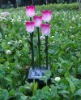 Solar fiber flowers/flower solar light /solar garden light /solar outdoor light