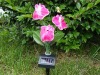 Solar fiber flowers/flower solar light /solar garden light /solar outdoor light