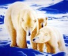 baby polar fleece blanket(two-sided brushed fleece blanket)