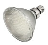 LED Spot Light TS100001