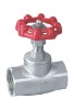 Screwed Globe Valve 200psi