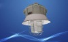 Explosion proof light