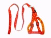 Pet Lead/Dog Lead/Pet Collar/Pet Collar