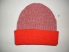 Winter Hat (SDC10637)