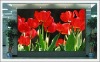 PH5mm indoor full-color LED display