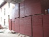 shuttering plywood