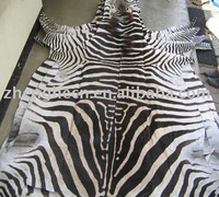 zebra skin rug