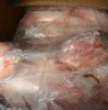 frozen chicken breast meat