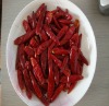 Dried Chaotian Chilli