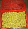 Chinese fresh Litchi fruit