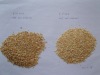 dehydrated garlic granule