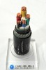 CU/PVC/SWA/PVC Power Cable