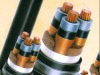 Power Cable