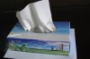 10~200 Pulls Tissue Boxed or Soft Packed/Hotel Tissue