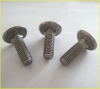 stainless steel carriage bolts (hex bolts)