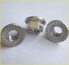 stainless steel Flange Nuts