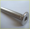 hexagon socket countersunk head screws