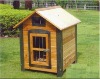 Dog House