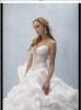 [Super Deal] new 2010 Wedding dress