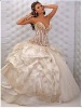 [Super Deal] new 2010 Wedding dress