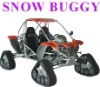 SNOW BUGGY (1100cc / 800cc / 500cc 4X4)