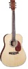 Acoustic Guitar-string instrument-musical instrument