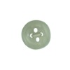 resin  button