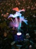 Solar fiber flowers/flower solar light /solar garden light /solar outdoor light