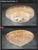 ceiling light