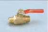 Brass Ball Valve