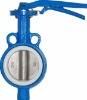 wafer type butterfly valve