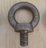 Eye Bolt