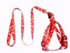 Pet Lead/Dog Lead/Pet Collar/Pet Collar