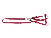 Pet Lead/Dog Lead/Pet Collar/Pet Collar