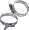 hose clamp