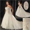 Stunning  Wedding Dress ps048