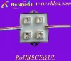 LED modules specially designed for New Year decoration