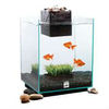 2012 special offered exquisite acrylic aquarium